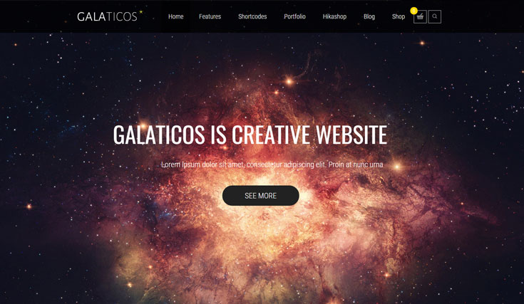 WordPress Installation Video